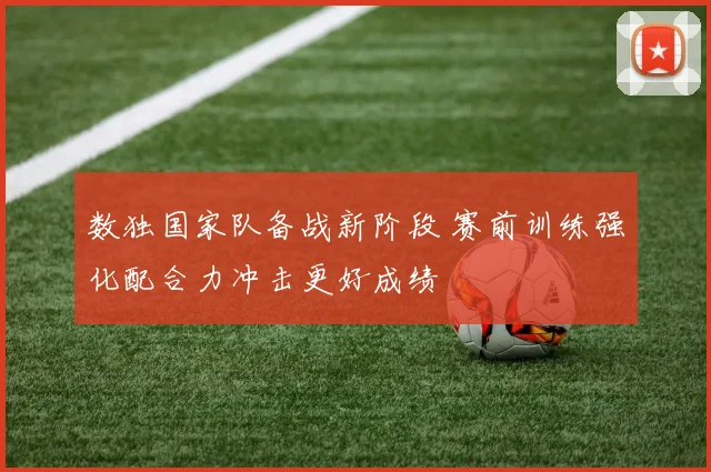 数独国家队备战新阶段 赛前训练强化配合力冲击更好成绩