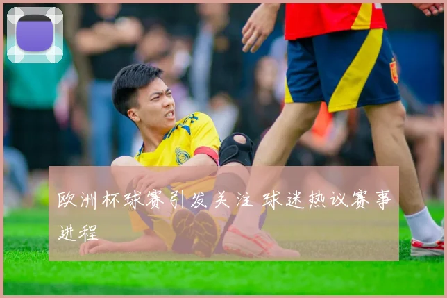欧洲杯球赛引发关注 球迷热议赛事进程