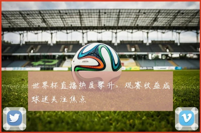 世界杯直播热度攀升，观赛收益成球迷关注焦点