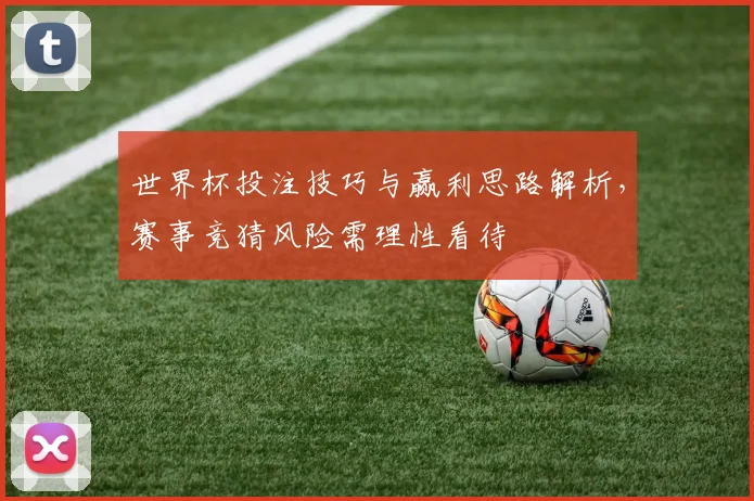 世界杯投注技巧与赢利思路解析,赛事竞猜风险需理性看待