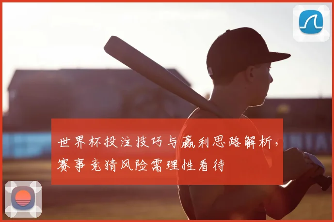 世界杯投注技巧与赢利思路解析,赛事竞猜风险需理性看待