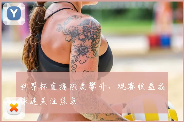世界杯直播热度攀升，观赛收益成球迷关注焦点